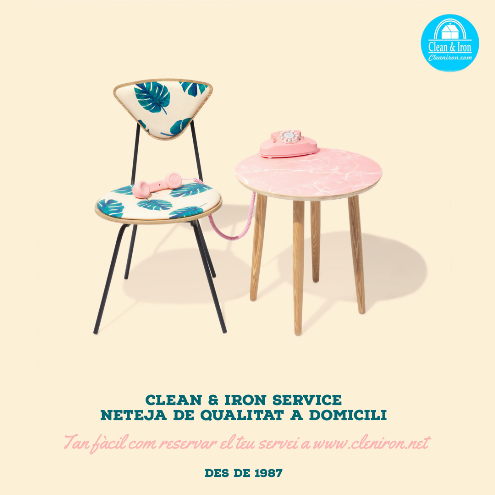 Cleaning Services Serveis de neteja